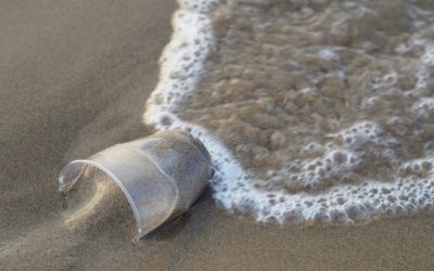 5 sposobów na ograniczenie zużycia plastiku w swoim życiu